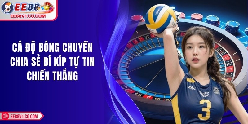 Cá độ bóng chuyền